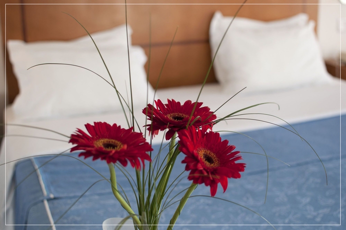 Imagen de la habitación del Hotel Nelas Parq. Foto 6