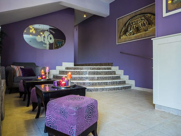 Imagen de los interiores del Hotel Nemo Dive Club and. Foto 18