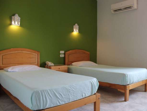 Imagen de la habitación del Hotel Nemo Dive Club and. Foto 10