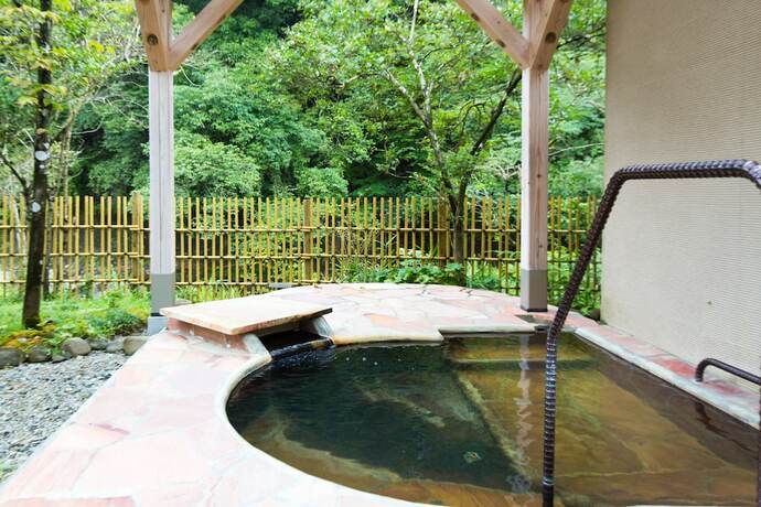 Imagen de la habitación del Hotel Nemunohana. Foto 21
