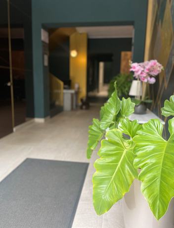 Imagen de los interiores del Hotel Neo Boutique. Foto 17