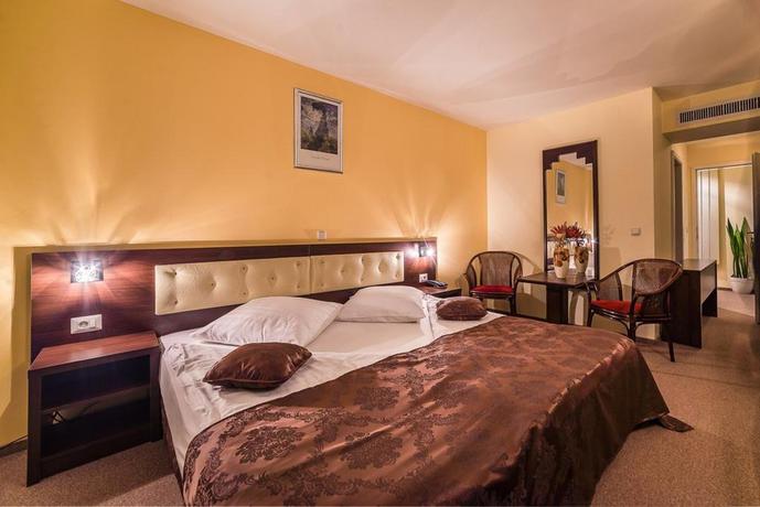 Imagen de la habitación del Hotel Neon, Timisoara. Foto 4