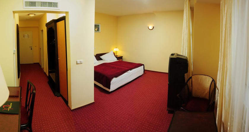 Imagen de la habitación del Hotel Neon, Timisoara. Foto 8