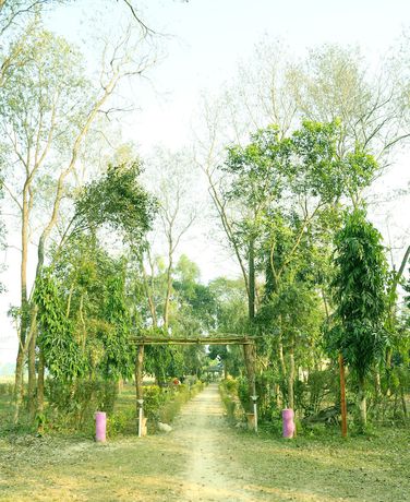 Imagen de la habitación del Hotel Nepal Wildlife Resort. Foto 4