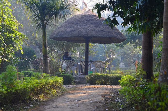 Imagen de la habitación del Hotel Nepal Wildlife Resort. Foto 12