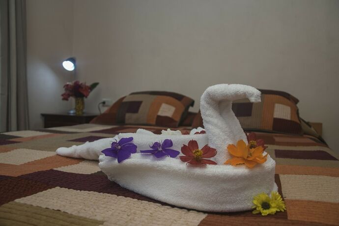 Imagen general del Hotel Nepenthe BandB. Foto 8