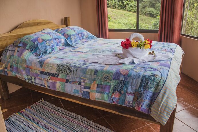 Imagen general del Hotel Nepenthe BandB. Foto 14