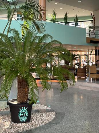 Imagen de los interiores del Hotel Neptuno by ON GROUP. Foto 19