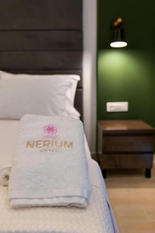 Imagen de la habitación del Hotel Nerium. Foto 6