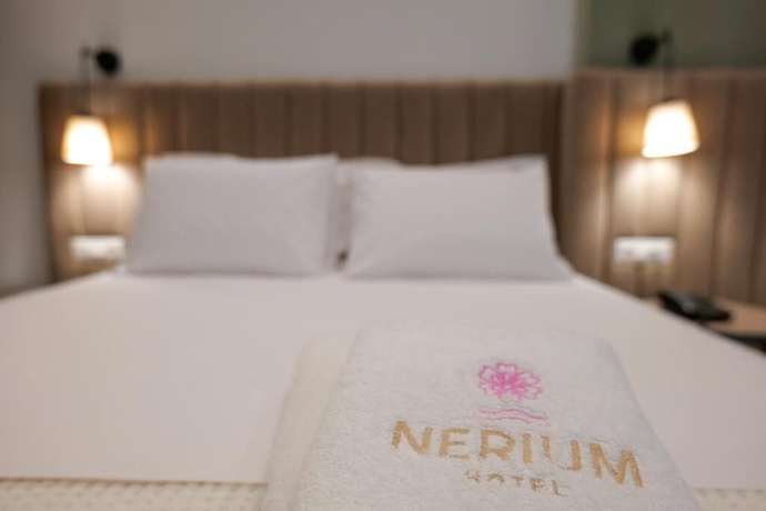 Imagen de la habitación del Hotel Nerium. Foto 10