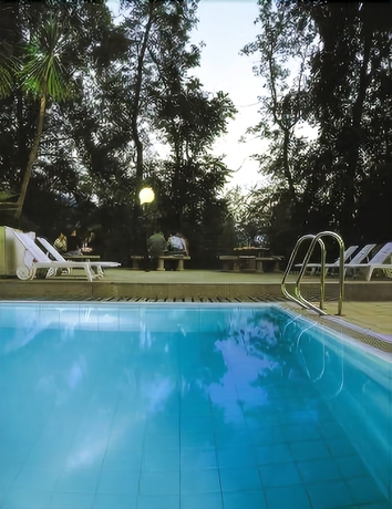 Imagen de la piscina del Hotel Nessi Locarno. Foto 13