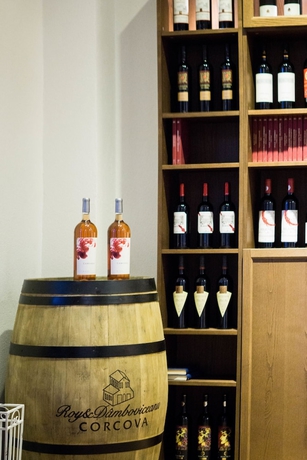 Imagen de los interiores del Hotel Nest, Drobeta-Turnu Severin. Foto 19