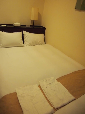 Imagen de la habitación del Hotel Nest Kumamoto. Foto 3