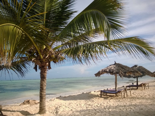 Imagen general del Hotel Nest Style Beach Zanzibar. Foto 1