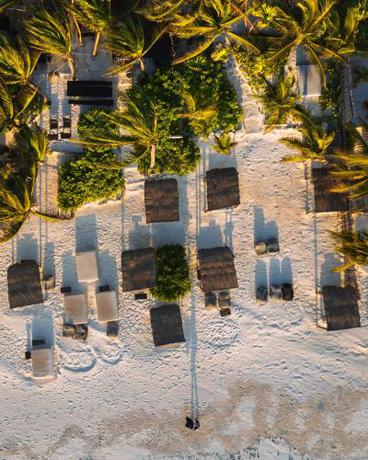 Imagen de los exteriores del Hotel Nest Tulum. Foto 16