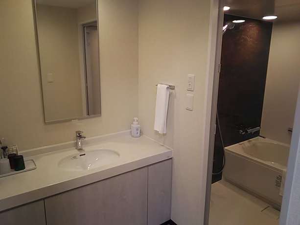 Imagen de la habitación del Hotel Nestandrise Osaka Namba. Foto 10