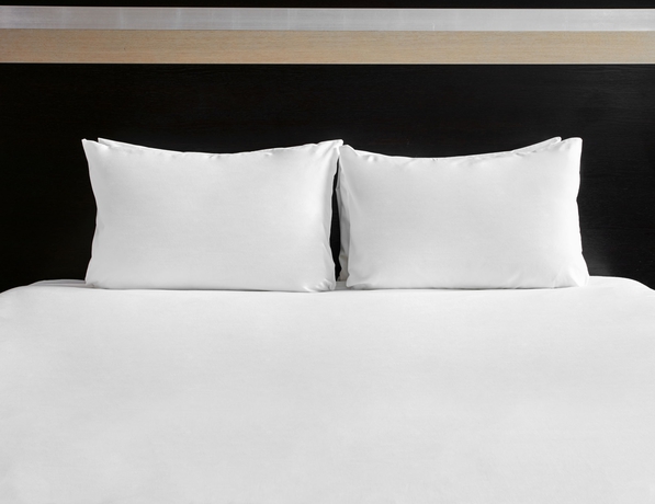 Imagen de la habitación del Hotel Nesterov Plaza, An Ihg. Foto 8
