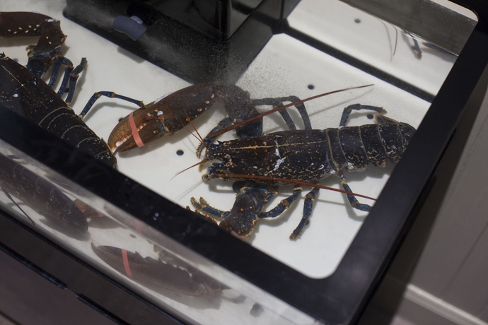 Imagen del bar/restaurante del Hotel Nether Abbey. Foto 3