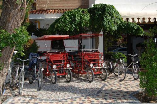 Imagen general del Hotel Nettuno, Lido Di Jesolo. Foto 6