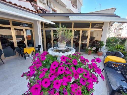 Imagen general del Hotel Nettuno, Roseto Degli Abruzzi. Foto 4