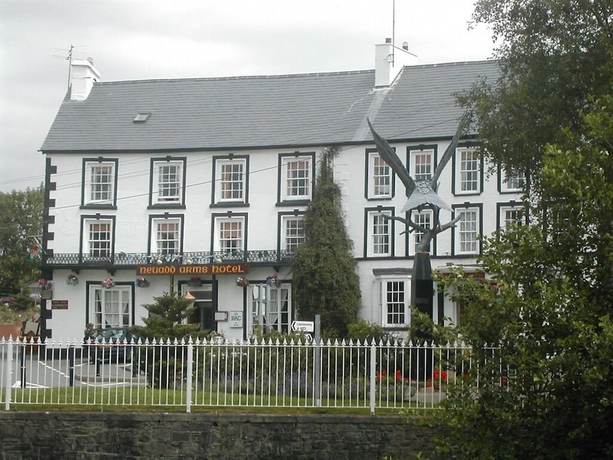 Imagen general del Hotel Neuadd Arms. Foto 4