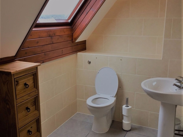 Imagen de la habitación del Hotel Neuadd Henllan. Foto 7