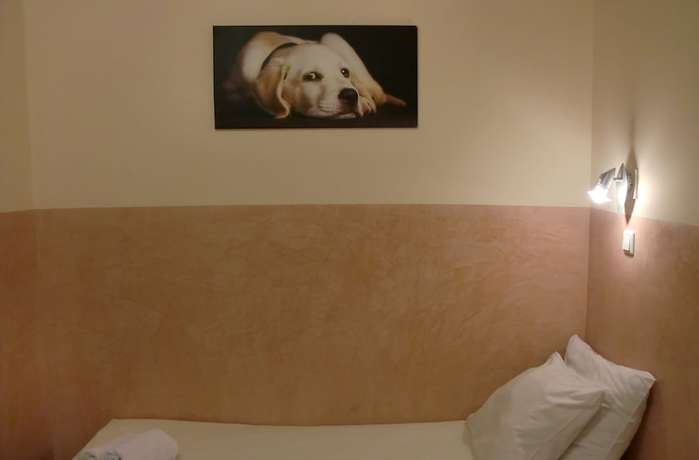 Imagen de la habitación del Hotel Neutraal. Foto 11