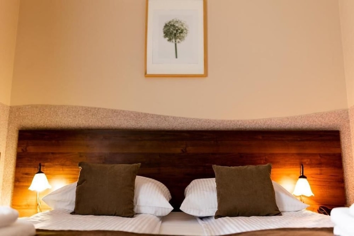 Imagen de la habitación del Hotel Nevada, Lagow. Foto 15