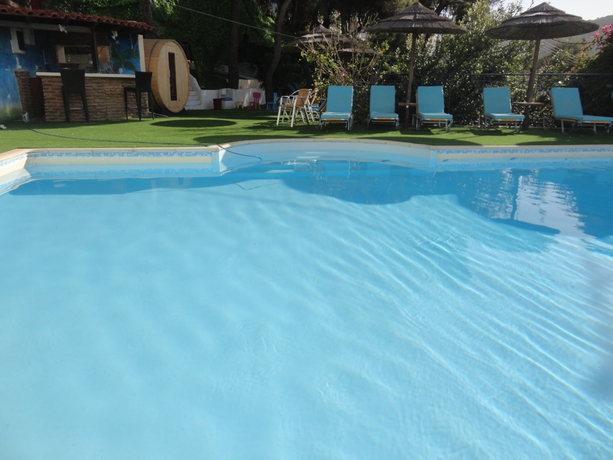 Imagen de la piscina del Hotel New Aegli Resort. Foto 15