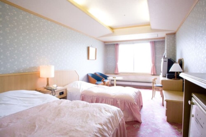 Imagen de la habitación del Hotel New Akan. Foto 12