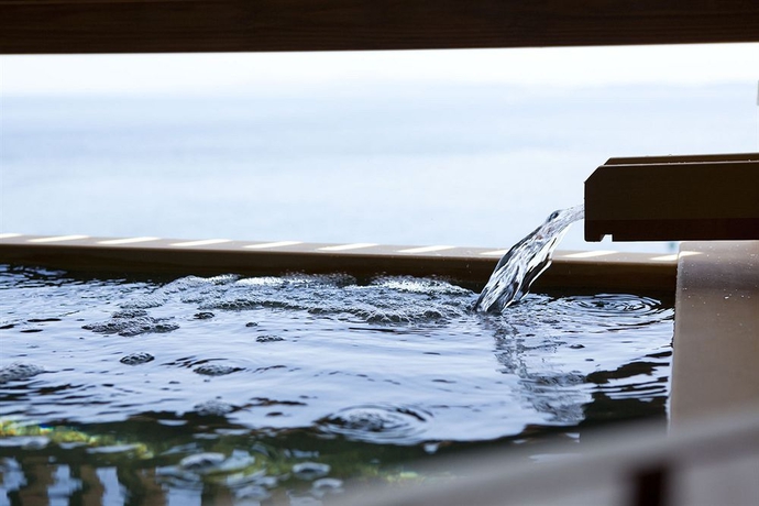 Imagen de la habitación del Hotel New Awaji. Foto 3