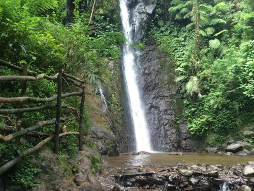 Imagen general del Hotel New Ayuda 2. Foto 4