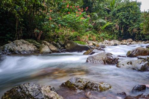 Imagen general del Hotel New Ayuda 2. Foto 5