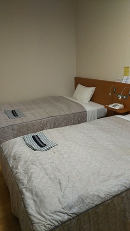 Imagen de la habitación del Hotel New Central Katsuta. Foto 9