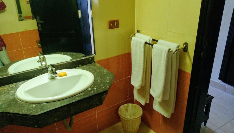 Imagen de la habitación del Hotel New Da Vinci. Foto 9