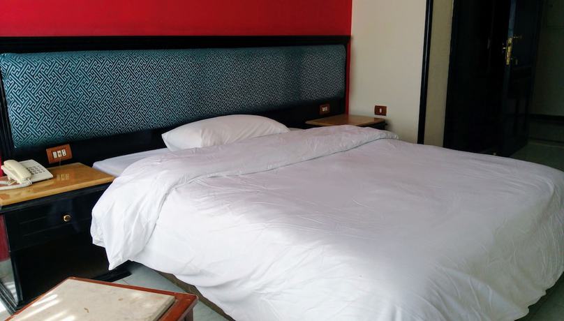 Imagen de la habitación del Hotel New Da Vinci. Foto 15