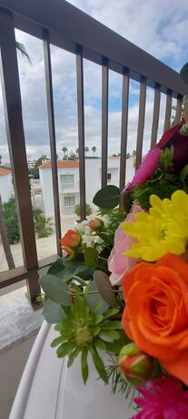 Imagen general del Hotel New FamagustaandSuites. Foto 4