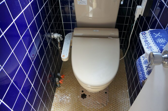 Imagen general del Hotel New Fukudaya. Foto 3