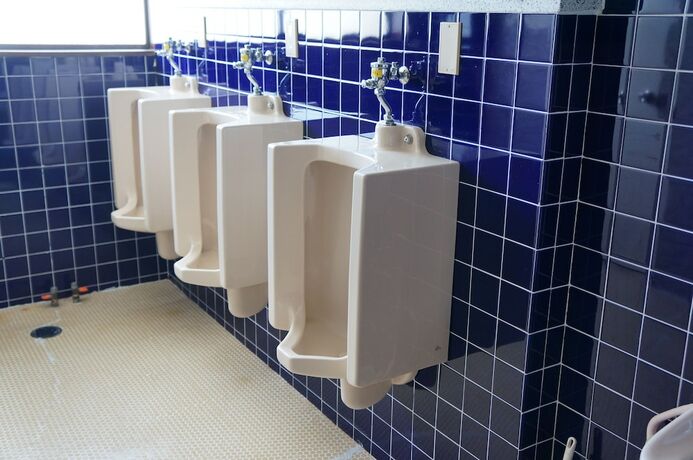 Imagen de la habitación del Hotel New Fukudaya. Foto 28