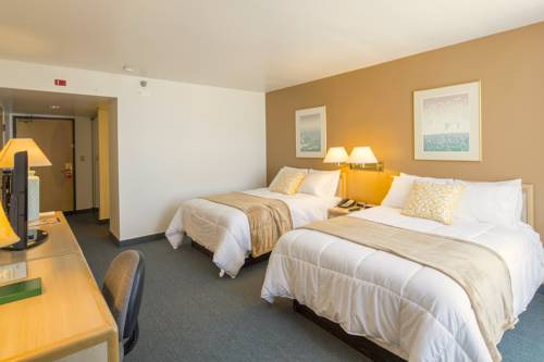 Imagen de la habitación del Hotel New Gardena. Foto 3