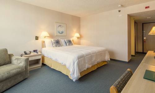Imagen de la habitación del Hotel New Gardena. Foto 5