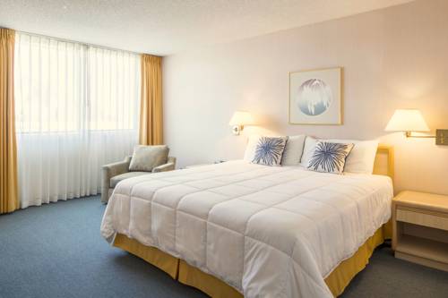 Imagen de la habitación del Hotel New Gardena. Foto 6