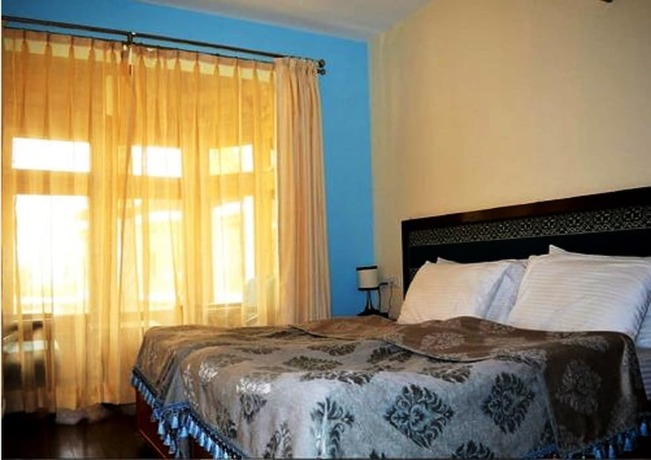 Imagen de la habitación del Hotel New Glacier View. Foto 22