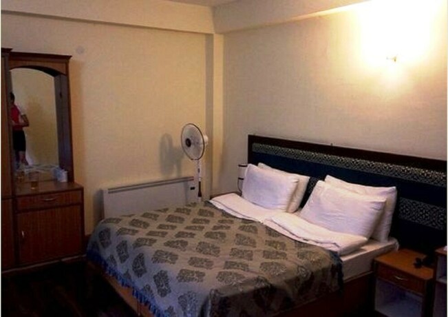 Imagen de la habitación del Hotel New Glacier View. Foto 28