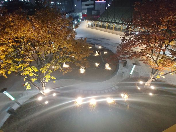 Imagen de la habitación del Hotel New Grand. Foto 5