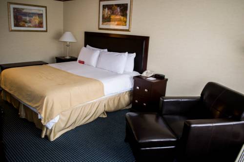 Imagen de la habitación del Hotel New Hope Inn & Suites. Foto 3