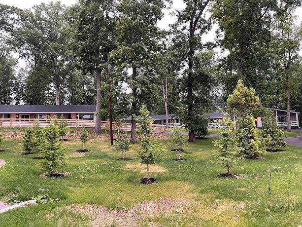 Imagen general del Hotel New Hope Lodge. Foto 5