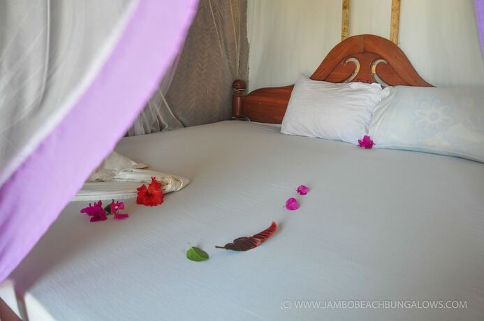 Imagen de la habitación del Hotel New Jambo Bungalows - Hostel. Foto 13