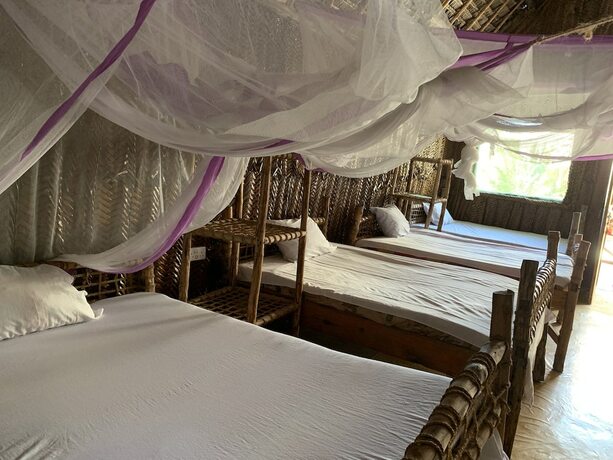 Imagen general del Hotel New Jambo Bungalows - Hostel. Foto 1