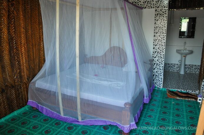 Imagen general del Hotel New Jambo Bungalows - Hostel. Foto 5